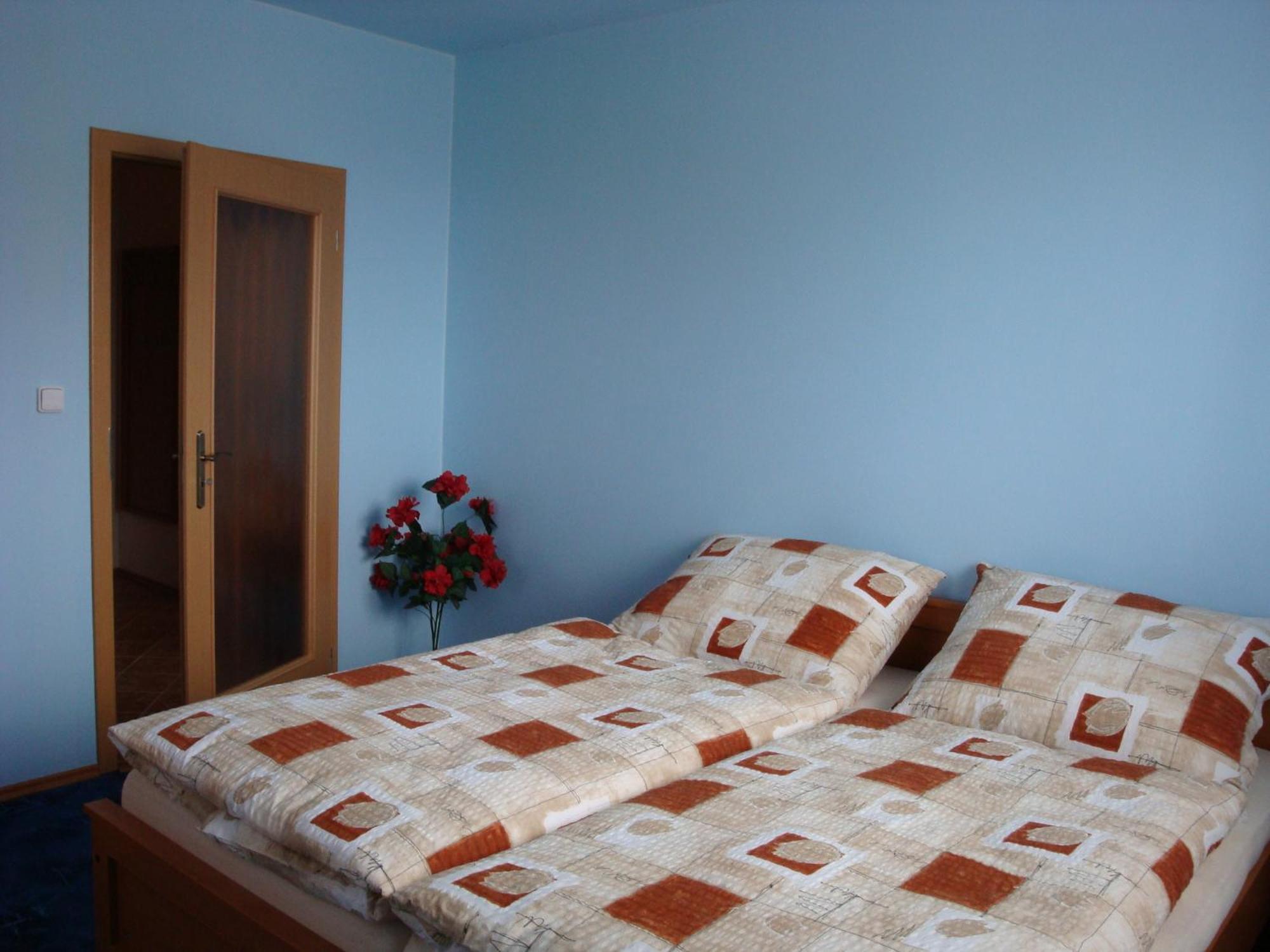 Pension Olga Klecany Room photo